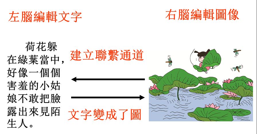 直映情境作文記憶特點